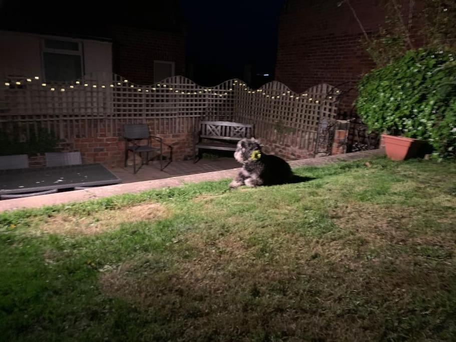 Award Winning Pet Friendly Paddock Cottage 惠特比 外观 照片