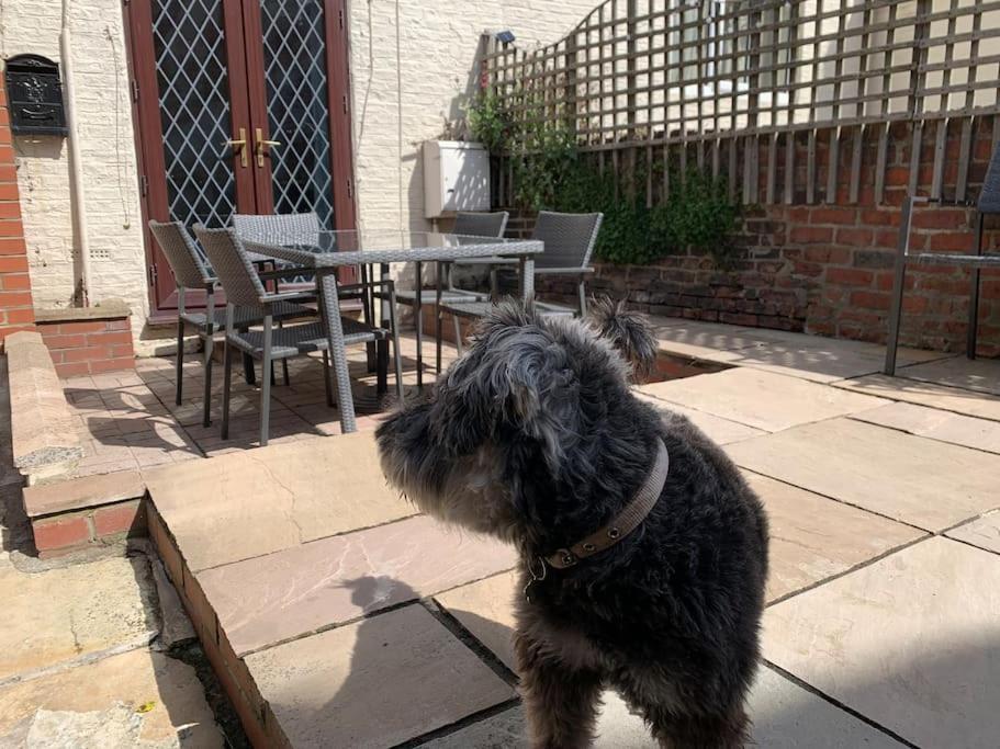 Award Winning Pet Friendly Paddock Cottage 惠特比 外观 照片
