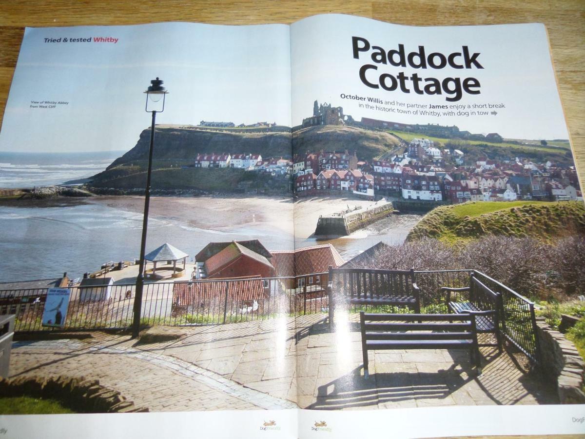 Award Winning Pet Friendly Paddock Cottage 惠特比 外观 照片